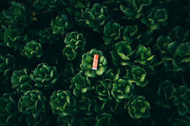 Conscious By Design